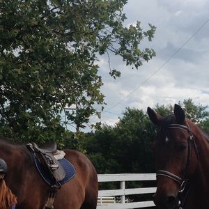 Meet your Posher, Emma